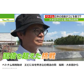 ベトナムエビ養殖3-1.png