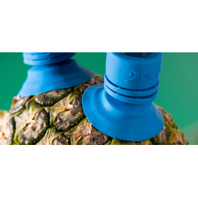 複雑な表面のアボカドやズッキーニ、凹凸の激しいパイナップルも!様々な果物を優しくグリッピング