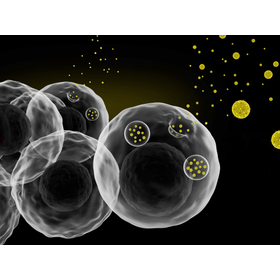 BioA-Cells-Secreting-Exosomes-3D-Shutterstock-1251265939-Sartorius (1).jpg