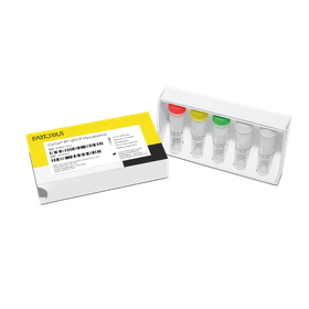 Mycoplasma-Detection-Cyclus-RT-qPCR-Open-Box-Top-Sartorius.png