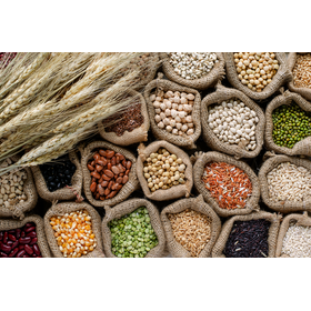 grain_ipros.png