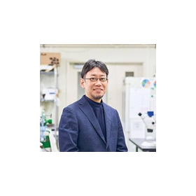 Professor Ryusuke Niwa, Tsukuba University