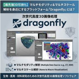 dragonfly.png