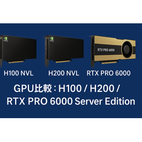 GPU Comparison: H100 / H200 / RTX PRO 6000 Server Edition