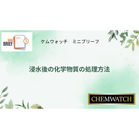 MiniBrief _Image_Chemical Clean up.png