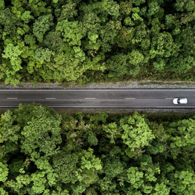 GettyImages-1125863165 -280 square.jpg