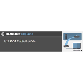 Black Box 用語事典