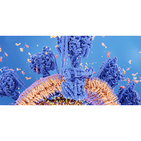 BIO_26_JSAMP_AES_AP-552 x 272 Card image.jpg