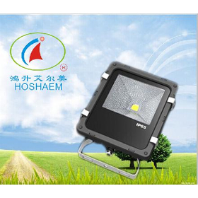 Floodlight