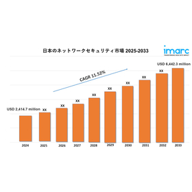 Japan network security market.jpg