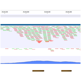 chip-seq_rip-seq_analysis-2.png