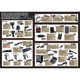 Black Series Sale Flyer