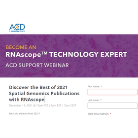 申し込みサイト