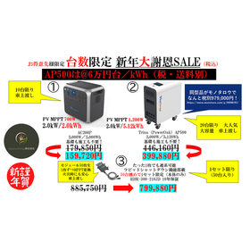 【Limited Quantity】New Year Big Thank You SALE