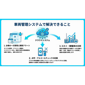 What can be solved with a vehicle management system