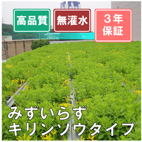 We plan to showcase case studies and display polyurea with excellent waterproofing properties.