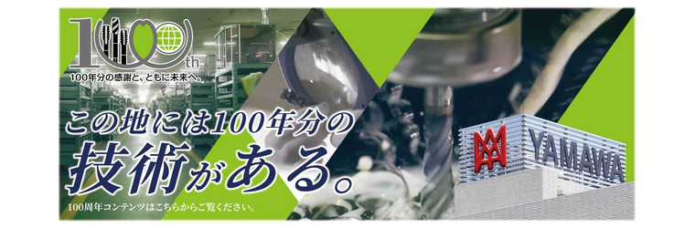 100th_580x1500.jpg