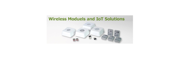 banner5-wirelessmodules-en.jpg