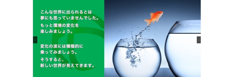 FireShot Capture 124 - ホーム - Found Four - [found-four.co.jp].png