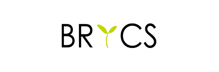 logo_BRICS_RGB-1.png