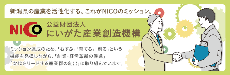nico_760_250_2116756.png