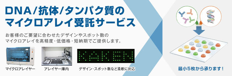 kakengeneqs_760_250_2.jpg