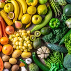 果実・野菜の搾汁・固液分離