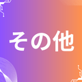 その他