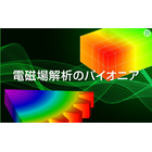 解析事例