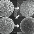 プラズマ溶融による粉末球状化技術
