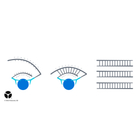 Antibody-affinity proteomics based on Proximity Extension Assay (PEA)