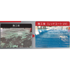 レッドコートUV