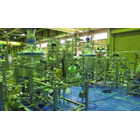 Inline Solid-Liquid Mixing Dispersion System