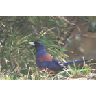 環境・脱炭素・生物多様性