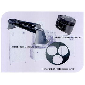 Diamond-like carbon (DLC) coating process
