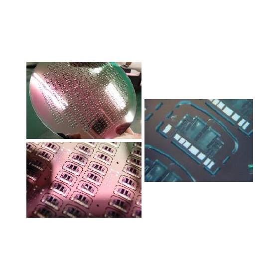 image_01.png