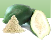 青パパイヤエキス末