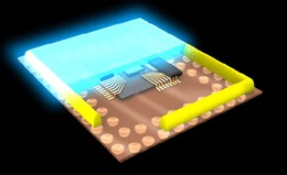 チップコート『ダム＆フィル剤』