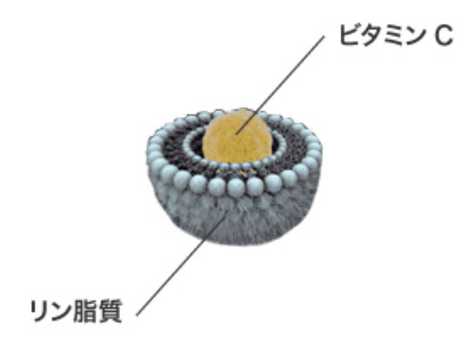 リポソームビタミンC