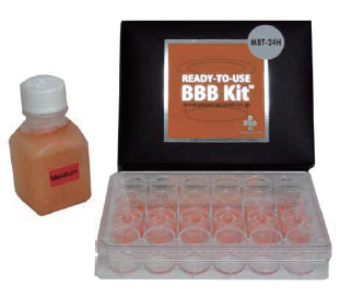 その他 BBB $_12.JPG?set_id=880000500F