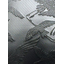 Embossing #42 Crane