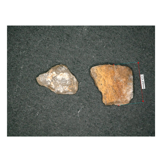 image_02.png