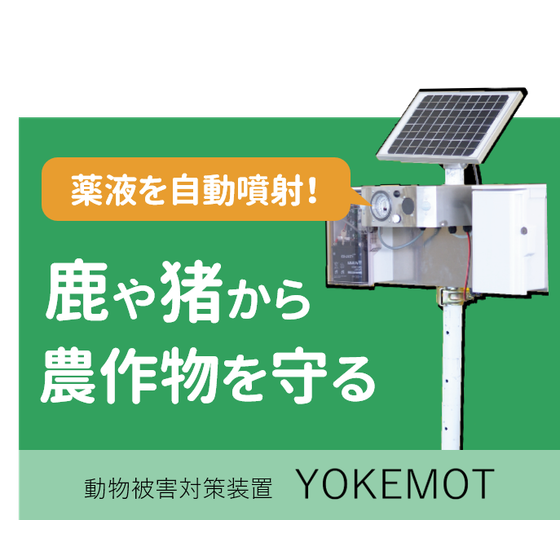 YOKEMOT農場向け.png