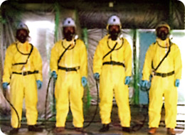 有害物質除去サービス