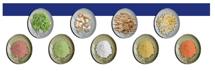 株式会社はつらつ　事業紹介