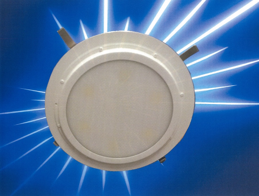 プール用ダウンライト耐塩素仕様 電源別置