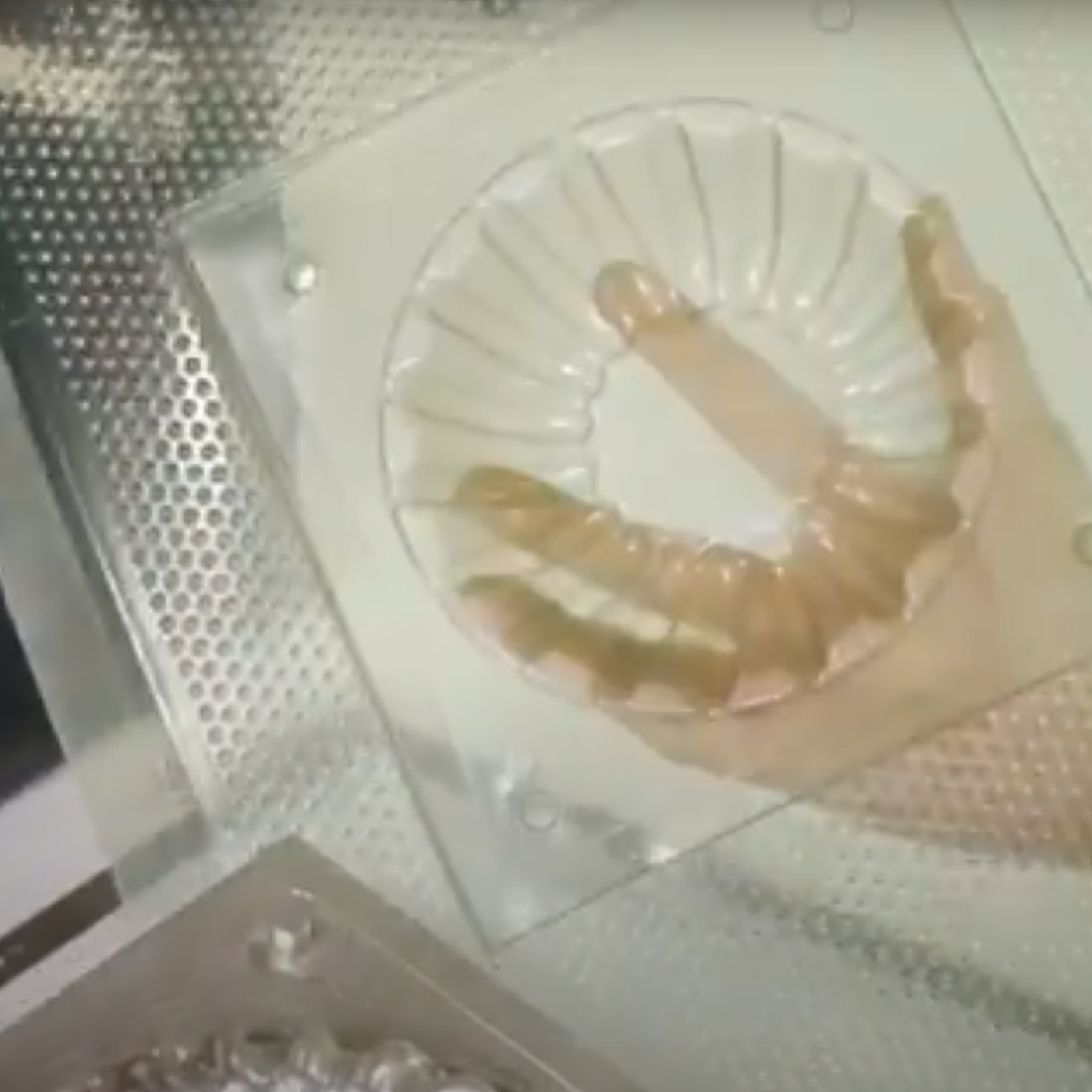 小型真空成形機「V.former」【身近なものが型になる！】