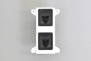 絶縁取付枠用コンセントモジュールUSB3.1 1スナップイン端子 ネット