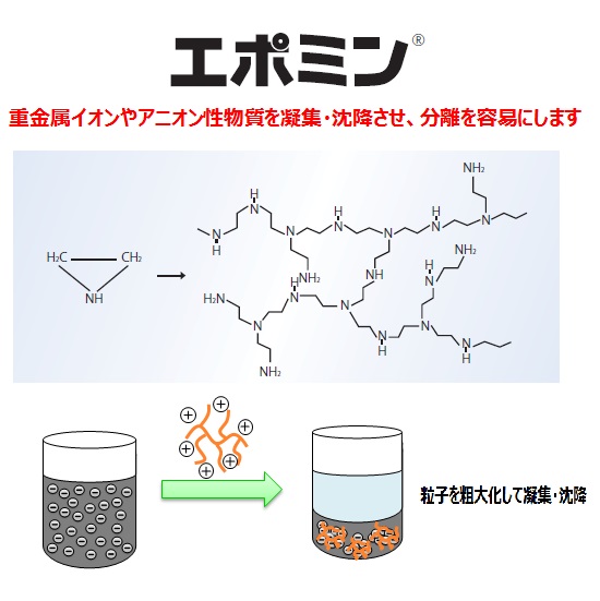 カチオン性水溶性ポリエチレンイミン『エポミン』 | 日本触媒