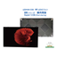 Ledman DS Series COB (PSE) Flip Chip